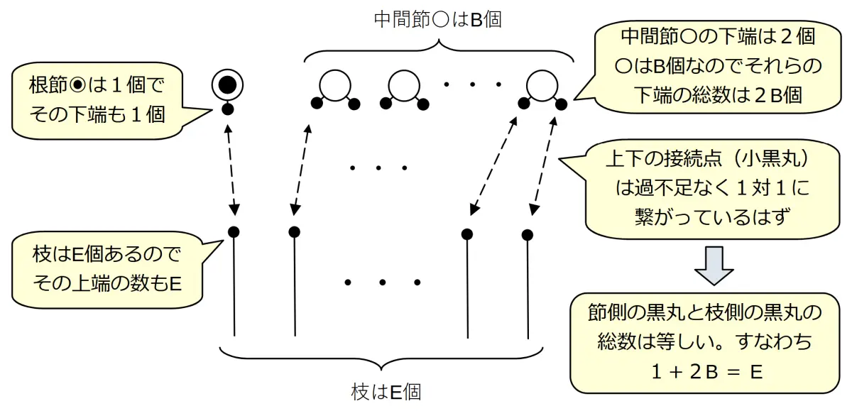 枝の上端と節との接続から得られる関係式