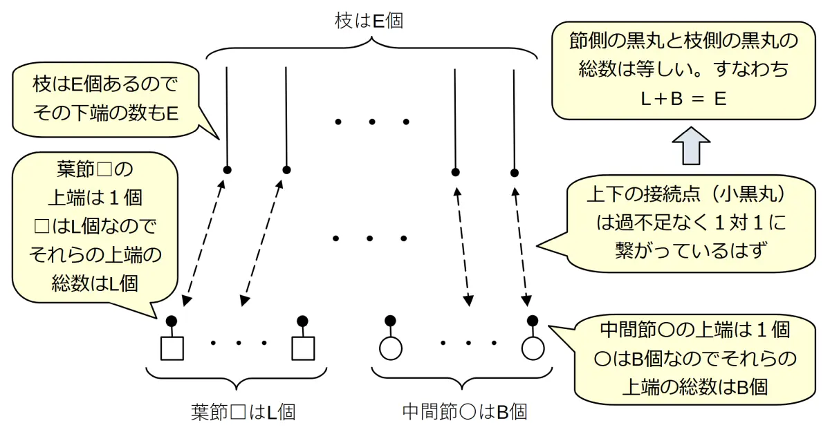 枝の下端と節との接続から得られる関係式