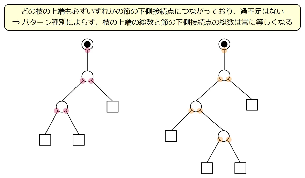枝の上端と節の下側接続点との間の対応関係